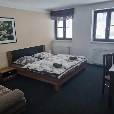 Max Klinovec Guest house *