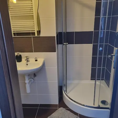Guest house Max Klinovec Loucna pod Klinovcem