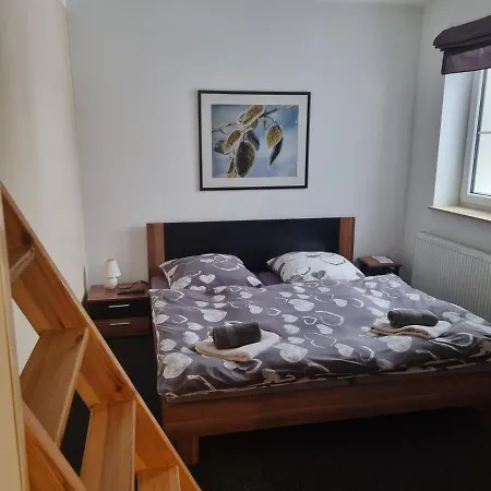 Guest house Max Klinovec Loucna pod Klinovcem