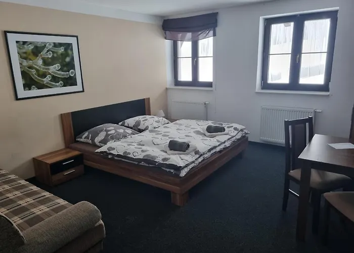 Max Klínovec Penzion *