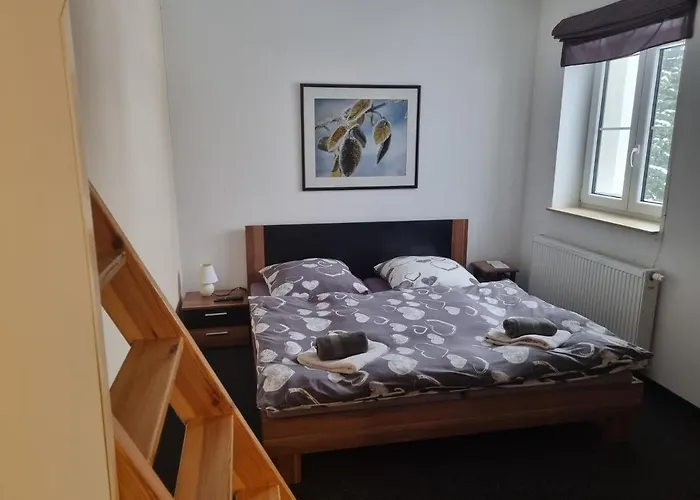 Penzion Max Klínovec Loučná pod Klínovcem